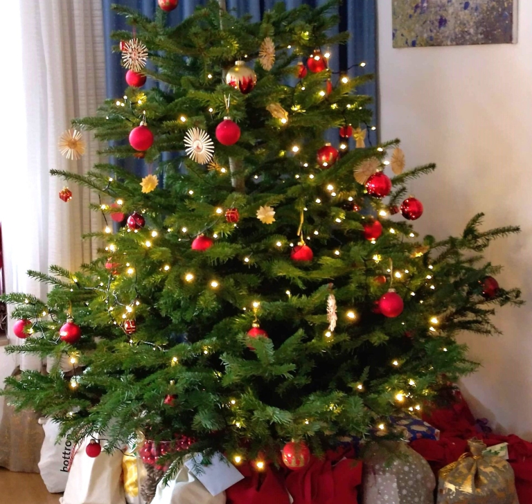 Weihnachtsbaum im Nachbarschaftszentrum Friesdorf